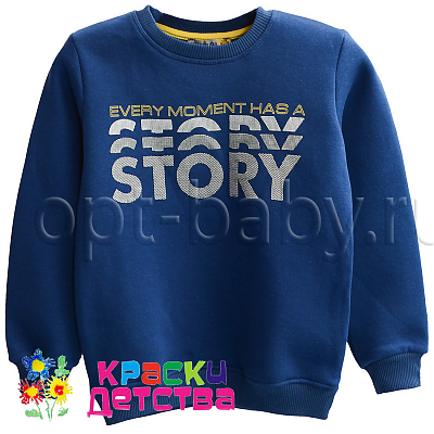 Свитшот утепленный, арт.: FRS 1466