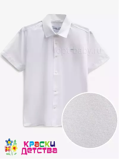 Рубашка (оксфорд, Regular Fit), арт.: CEGISA  4912