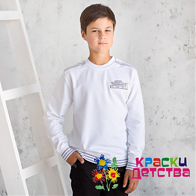 Толстовка, артикул: C 3010 ШТУЧНО