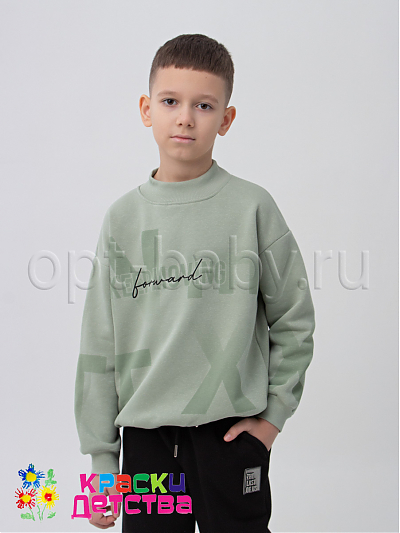 Свитшот утепленный, арт.: WEN 6915-3