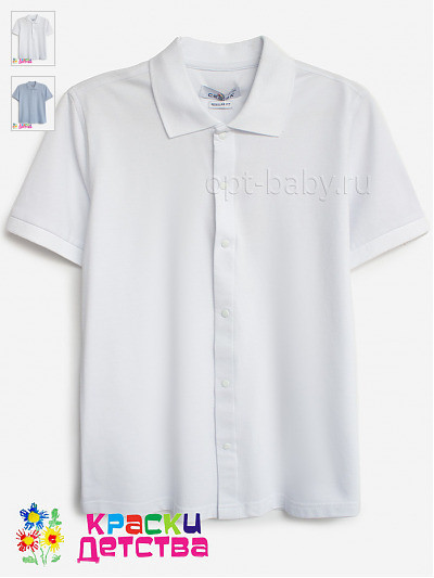 Рубашка (лакоста, Regular Fit), арт.: CEGISA  4803