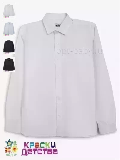 Рубашка (Regular Fit, оксфорд), арт.: CEGISA 5486