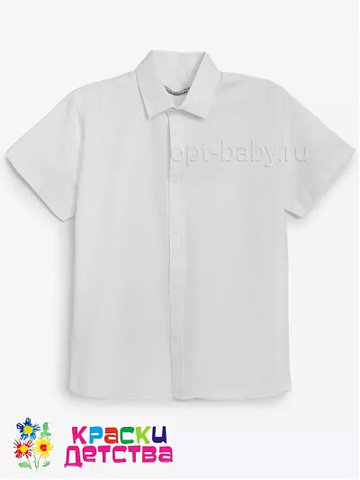 Рубашка (оксфорд, Regular Fit), арт.: CEGISA 5687