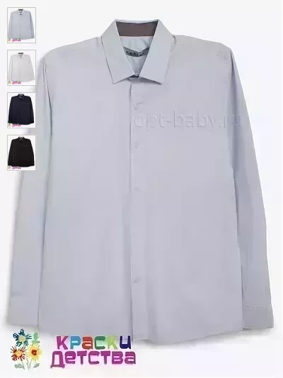 Рубашка (Regular fit), арт.: CEGISA  5537