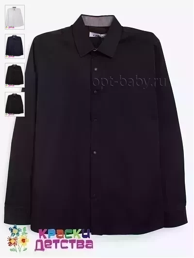 Рубашка (Regular fit), арт.: CEGISA  5538
