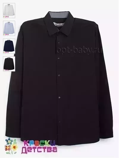 Рубашка (Regular fit), арт.: CEGISA  5497