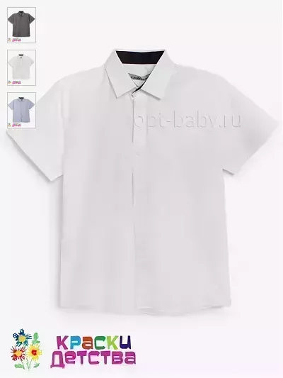 Рубашка (оксфорд, Regular Fit), арт.: CEGISA 5682