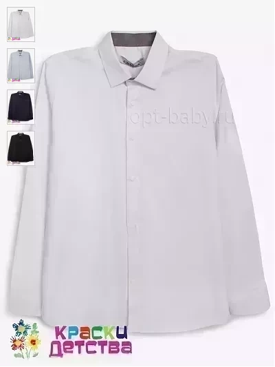 Рубашка (Regular fit), арт.: CEGISA  5536