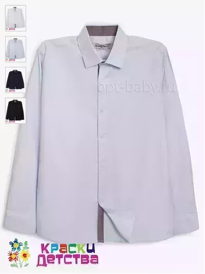 Рубашка (Regular fit), арт.: CEGISA  5542