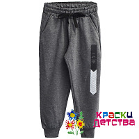Брюки спортивные, арт.: ID 4800 ШТУЧНО