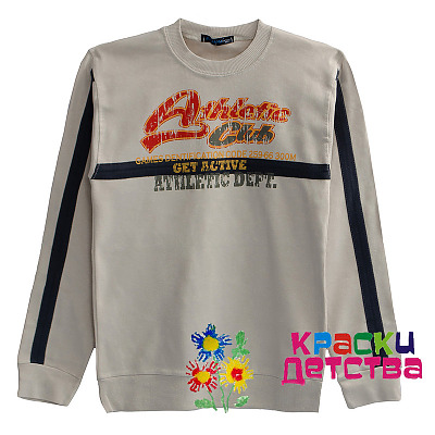 Толстовка, артикул: BH 5070