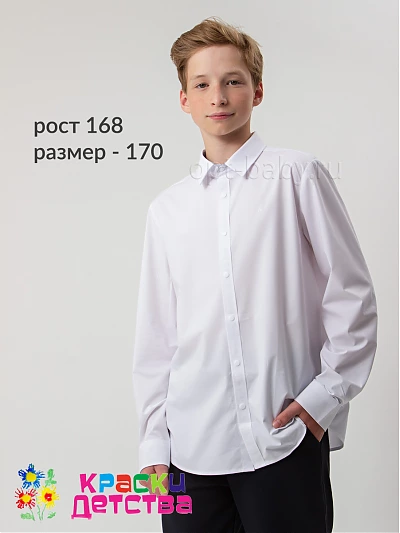 Рубашка (регуляр), арт.: KEVIN YOUNG R351301-X-2