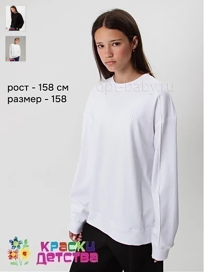 Свитшот (унисекс), арт.: KEVIN YOUNG A331685