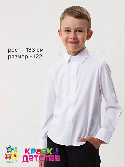 Рубашка (слим), арт.: KEVIN YOUNG R351233