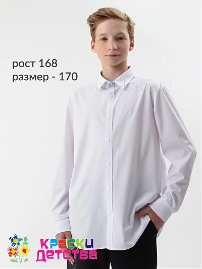Рубашка (регуляр +), арт.: KEVIN YOUNG R351301-2X-2