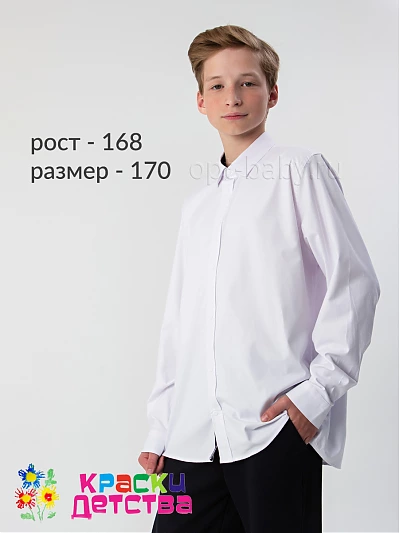 Рубашка (Regular fit), арт.: CEGISA  5541