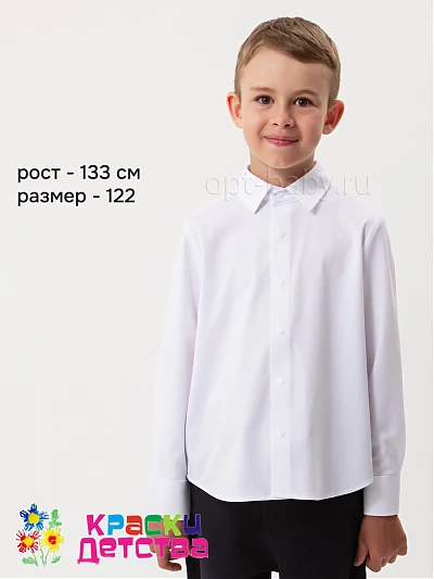 Рубашка (регуляр), арт.: KEVIN YOUNG R351233-X