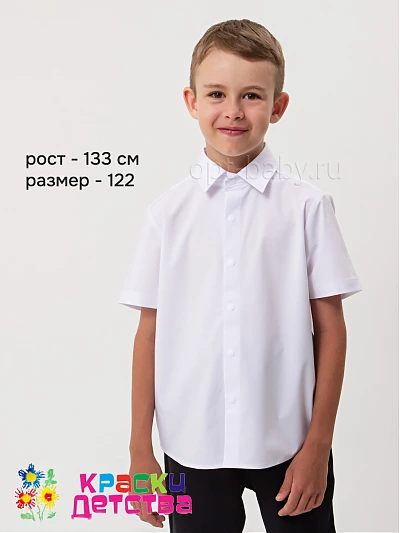 Рубашка (регуляр +), арт.: KEVIN YOUNG R351325-2X