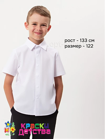 Рубашка (регуляр), арт.: KEVIN YOUNG R351325-X
