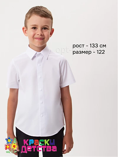 Рубашка (слим), арт.: KEVIN YOUNG R351325