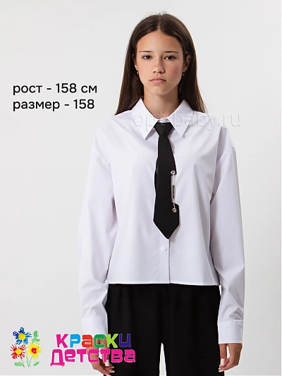 Блузка (в комплекте галстук), арт.: KEVIN YOUNG R351254