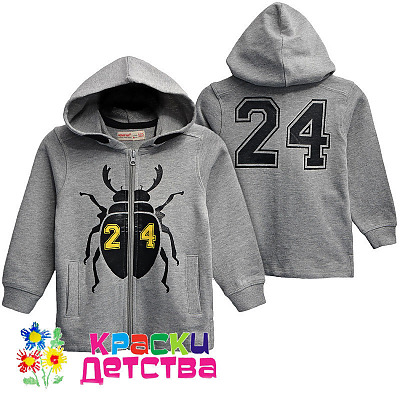 Толстовка, артикул SS 211654