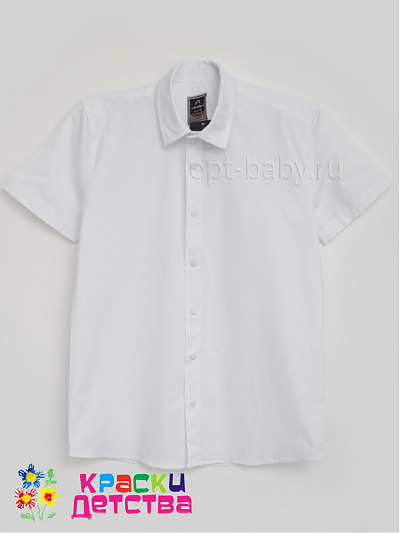 Рубашка (slim fit, кнопки), арт.: CEGISA 2506