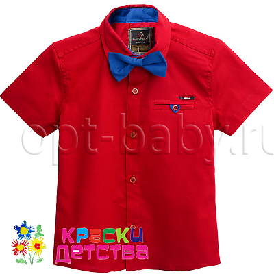 Рубашка, арт.: CEGISA 9900-1
